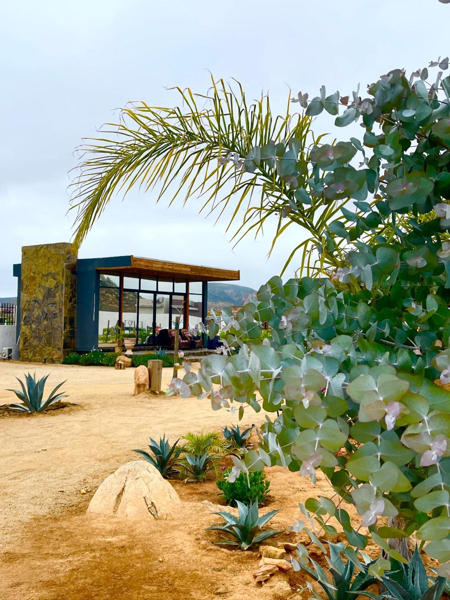 Hacienda 7 Amores El Porvenir Exterior foto